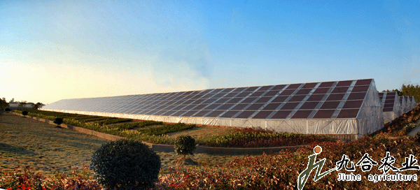 太陽(yáng)能溫室 太陽(yáng)能溫室