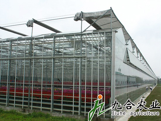 玻璃溫室|連棟溫室|智能溫室|溫室圖片|溫室工程 玻璃溫室|連棟溫室|智能溫室|溫室圖片|溫室工程