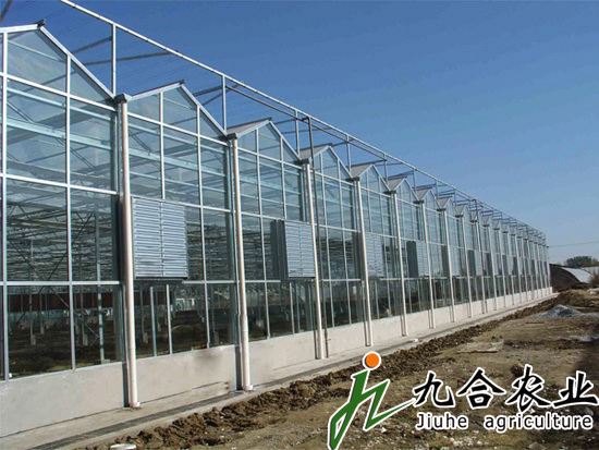 玻璃溫室|連棟溫室|智能溫室|溫室圖片|溫室工程 玻璃溫室|連棟溫室|智能溫室|溫室圖片|溫室工程