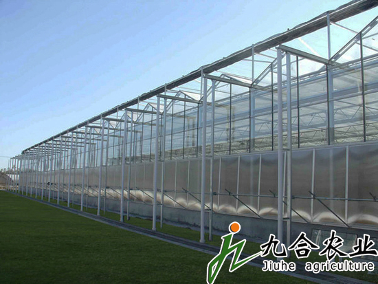 玻璃溫室|連棟溫室|智能溫室|溫室圖片|溫室工程 玻璃溫室|連棟溫室|智能溫室|溫室圖片|溫室工程