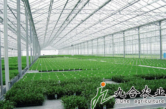 PC板連棟智能溫室|溫室大棚 PC板連棟智能溫室|溫室大棚