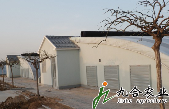 溫室大棚建設(shè)|鋼架溫室 溫室大棚建設(shè)|鋼架溫室