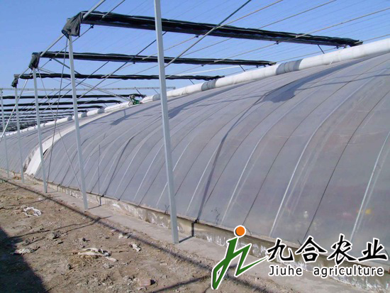 溫室大棚建設(shè)|鋼架溫室 溫室大棚建設(shè)|鋼架溫室