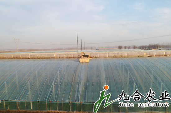 蔬菜大棚建設(shè)|蔬菜溫室大棚 蔬菜大棚建設(shè)|蔬菜溫室大棚