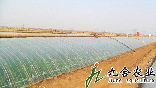 蔬菜大棚建設(shè)|蔬菜溫室大棚 蔬菜大棚建設(shè)|蔬菜溫室大棚