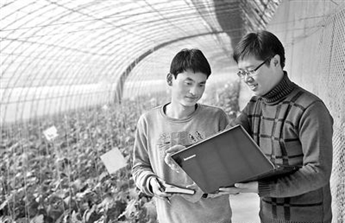 河北衡水饒陽(yáng)已建成48個(gè)高標(biāo)準(zhǔn)智能化溫室 河北衡水饒陽(yáng)已建成48個(gè)高標(biāo)準(zhǔn)智能化溫室