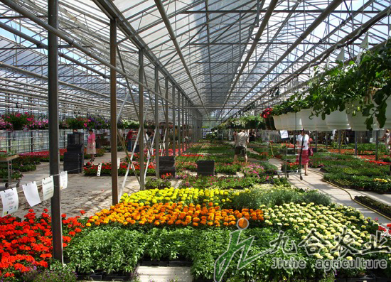 玻璃智能溫室應用 玻璃智能溫室應用